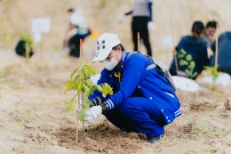 Matsui Eastern (Thailand) Co., Ltd. Participates in the WHA Tree Planting Project